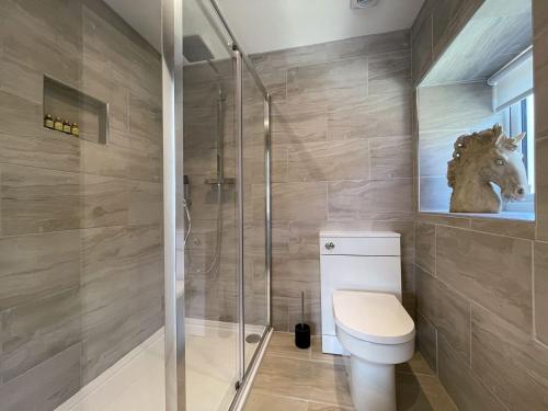 a bathroom with a toilet and a glass shower at Well Cottage in Portmahomack