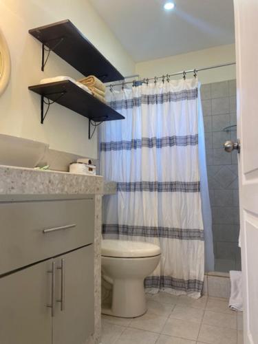 タマリンドにあるCentral Park Apartmentのトイレとシャワー付きのバスルーム