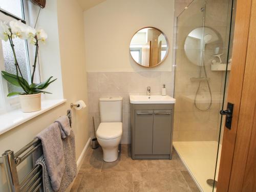 W łazience znajduje się toaleta, umywalka i lustro. w obiekcie Cow'ouse w mieście Shrewsbury