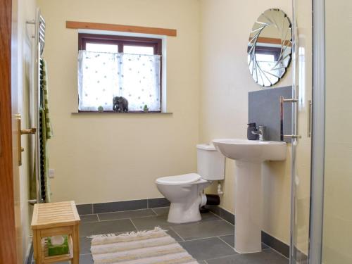 a bathroom with a toilet and a sink and a mirror at Caws Cottage in Cenarth
