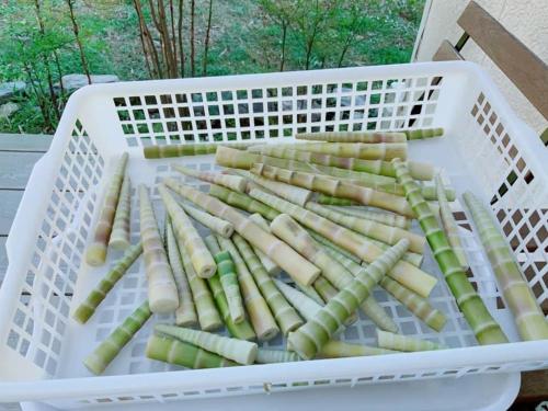 a basket full of asparagus on a table at Akitsuki Kominka Ryokan You in Asakura