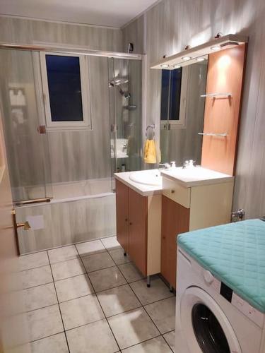 y baño con lavabo y lavadora. en Appartement 76m2 lumineux centre ville garage privé 3ieme étage sans ascenseur en Fougères