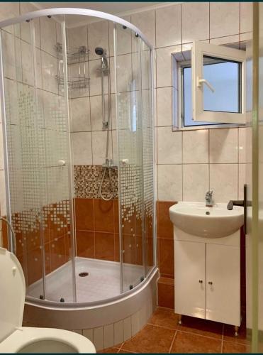 een badkamer met een douche, een toilet en een wastafel bij Family appartment in Zalău