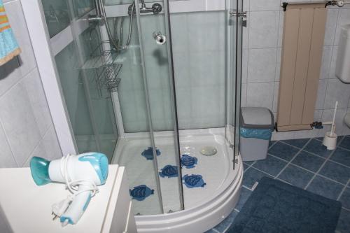 y baño con ducha y puerta de cristal. en Bellevue Budapest B&B, en Budapest