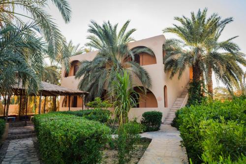 a house with palm trees in front of it at Seliyaa Siwa Inn Hotel in Siwa