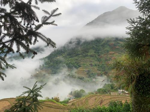 a view of a mountain in the clouds at Riz d'Or Ermitage - Hoang Su Phi in Hoàng Su Phì