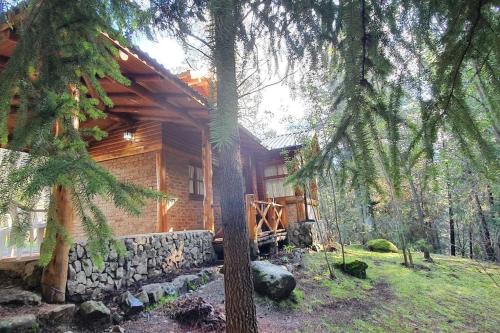 una cabaña de madera en el bosque con una pared de piedra en Cabaña Ciprés entre Bosques y Arroyo en El Bolsón