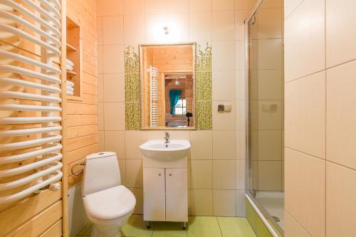 y baño con aseo, lavabo y ducha. en Domki Bystre, en Baligród