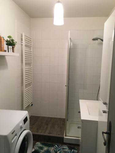 une salle de bain avec douche et lavabo dans l'établissement T2 Centre Village - Proximité télécabine - Vue montagne Plein Sud - Terrasse couverte - Balcon - Chambre 1 Lit double en 160 - Salon 1 canapé convertible en 140 - Cuisine séparée, à Saint-Lary-Soulan