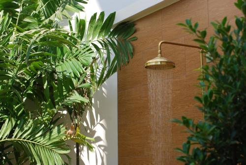 a shower with a shower head next to a plant at U Tiny Boutique Hotel Suvarnabhumi Bangkok - SHA Plus in Lat Krabang