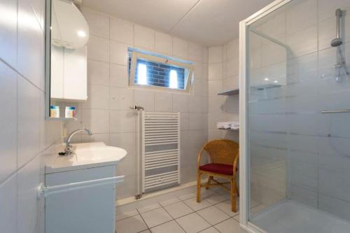a bathroom with a shower and a sink and a mirror at Appartement Hoek in Giethoorn