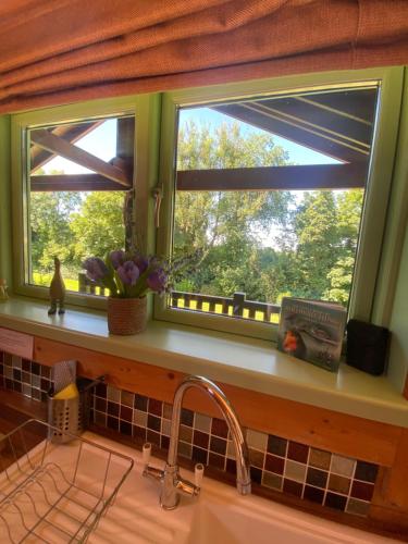 Κήπος έξω από το Hollybush Lodges