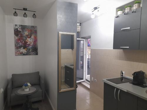 Kuchyň nebo kuchyňský kout v ubytování APARTMAN POZORISTE Penthaus