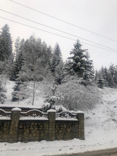 a stone wall covered in snow with trees in the background at Садиба "ЯНА" in Slavske