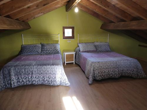 een slaapkamer met 2 bedden en een groene muur bij Casa Antonio in Susañe del Sil