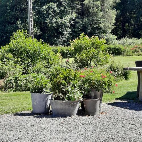 Un jardín fuera de Chambre d'hôte Le Châtaignier