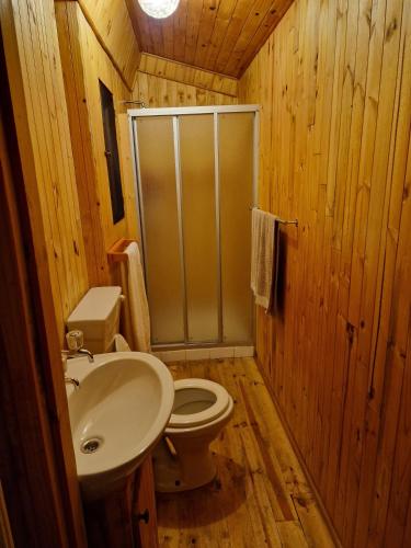 a bathroom with a sink and a toilet and a shower at Carpe Diem in Marloth Park