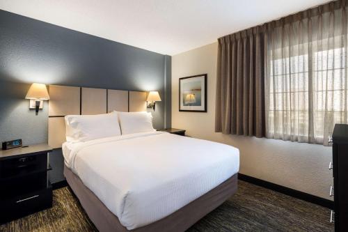Habitación de hotel con cama grande y ventana en Sonesta Simply Suites Atlanta Gwinnett Place, en Duluth