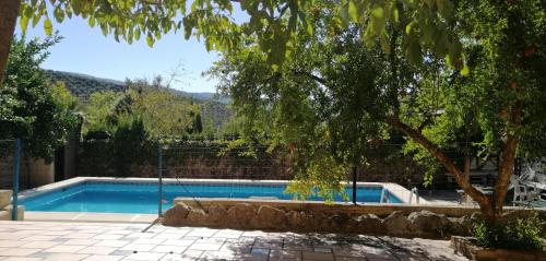 a swimming pool in a yard with a tree at Villa Spa Los Villares in Jaén