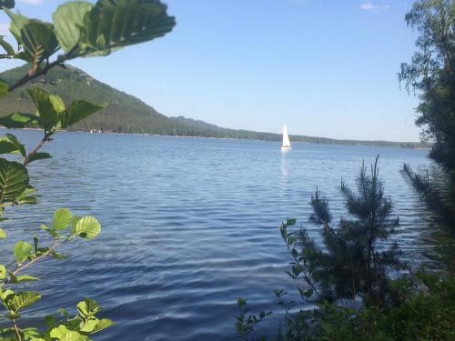a sailboat on a large lake with a boat at Romantika na jezeře in Staré Splavy