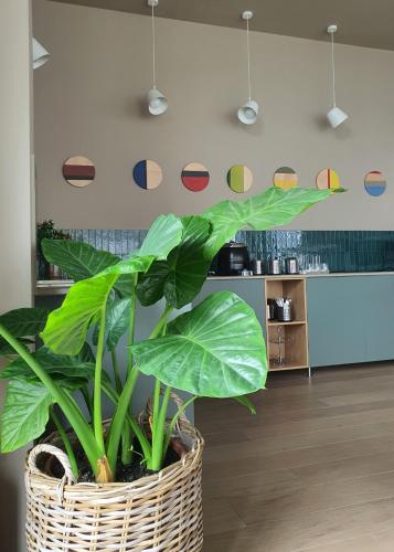 Fotografie z fotogalerie ubytování Marida Hotel v destinaci Satu Mare