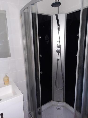 a shower with a glass door in a bathroom at maison de campagne au calme in Chuelles