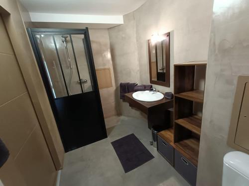 La petite salle de bains est pourvue d'un lavabo et d'une douche. dans l'établissement Fleurs des Alpes, à Les Déserts