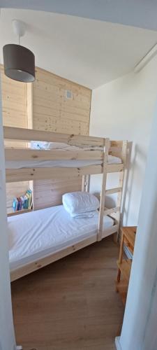 Двухъярусная кровать или двухъярусные кровати в номере Spacieux appartement T2 & cabine