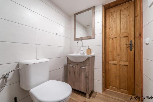 a bathroom with a toilet and a sink and a mirror at Roubenka Výletní in Desná