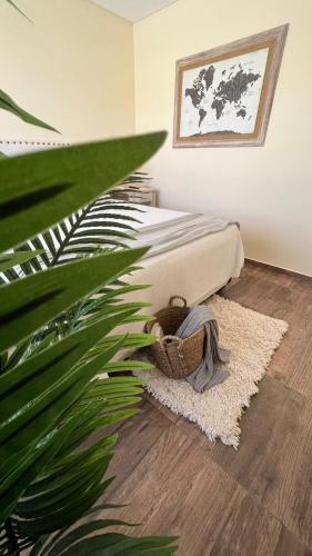 1 dormitorio con cama y planta en Duplex Champagnat en San Rafael