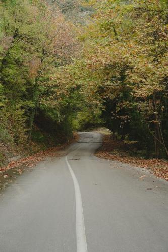 a winding road in the middle of a forest at Country house 2 in Ktistádes