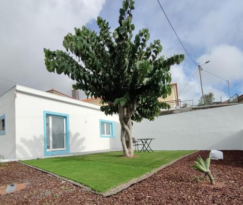 uma árvore num quintal ao lado de um edifício branco em Madeira Blue House na Calheta