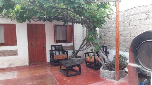 普爾馬馬卡的住宿－Hostal Mamacoca，一群椅子和一棵树,在一座建筑前