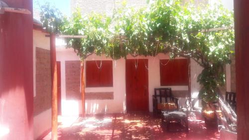 Jardín al aire libre en Mamacoca