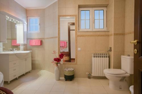 a bathroom with a toilet and a sink and a mirror at Royal Holiday Apartments Sveti Stefan in Sveti Stefan