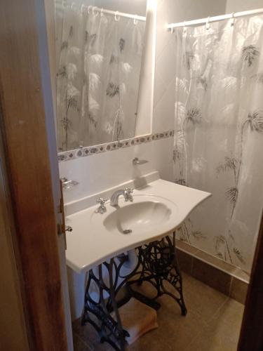 a bathroom with a sink and a shower curtain at Posada A Viagem in Tandil
