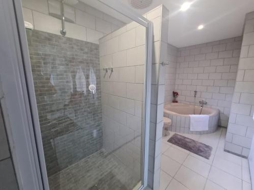 a bathroom with a shower and a toilet and a sink at Chantelle's Overnight Room in Richards Bay