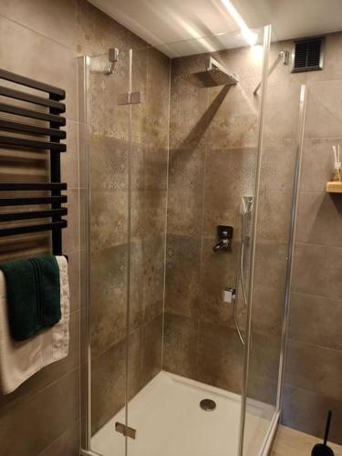 a shower with a glass door in a bathroom at Magiczny Dom w Brennej in Brenna