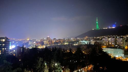 a city skyline at night with the eiffel tower at Hotel Solum Roof Top in Tbilisi City