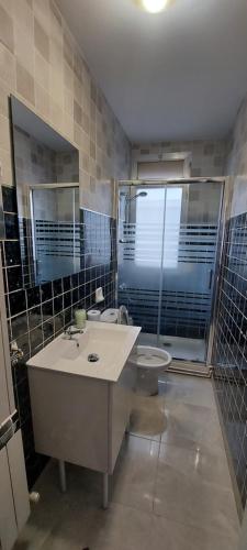 a bathroom with a sink and a toilet at Apartamento Manzanera in Logroño