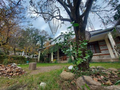 a bird net hanging from a tree in front of a house at Mars Monkey Hostel & Cafe in Manāli