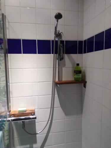 a shower in a bathroom with blue and white tiles at ,,Björklunda" cozy apartment in swedish lapland in Lycksele