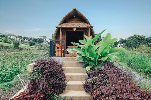 a stairway leading to a small house in a field at Tunjung Sari Villa Bedugul in Bedugul