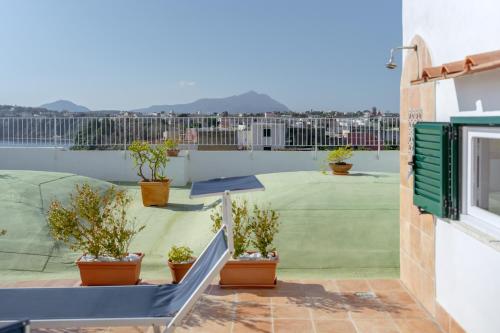 a view from the roof of a house with potted plants at TORRETTA CORRICELLA- Torretta in Procida