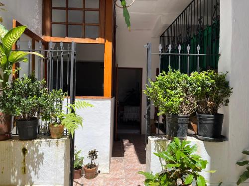 Κήπος έξω από το Hospedagem Villa Caiçara