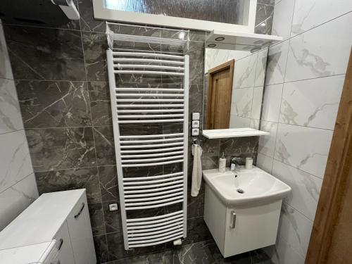 a bathroom with a sink and a toilet and a mirror at Apartmán U Póla in Zdíkov