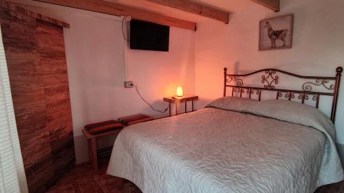 1 dormitorio con 1 cama y 1 lámpara en una mesa en Pirca Hostal, en San Pedro de Atacama