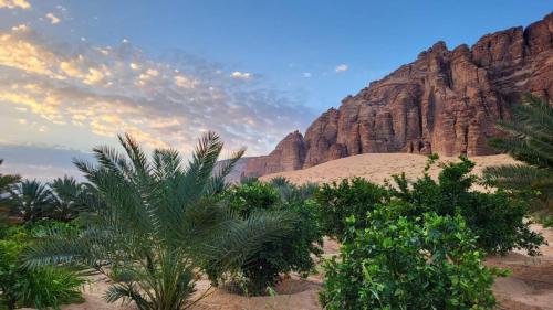 a desert with palm trees in front of mountains at الجوهرة Diamond plus in Al-ʿUla