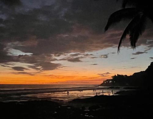 a sunset on a beach with a palm tree at LOOKING2GOOD in El Zonte