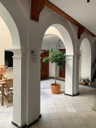 a hallway with arches with a potted plant and a table at Casa de las Especias Hotel Boutique in Sanlúcar de Barrameda